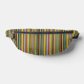 Kleurrijke Stripes Design Fanny Pack Bag Heuptasje (Liggend)