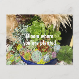 Kleurrijke successen met Silver Grass Briefkaart