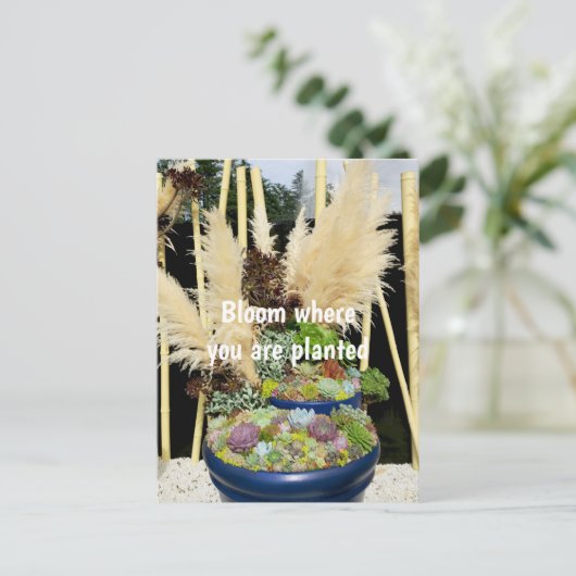 Kleurrijke successen met Silver Grass Briefkaart (Staand voorkant)