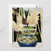 Kleurrijke successen met Silver Grass Briefkaart (Voorkant / Achterkant)