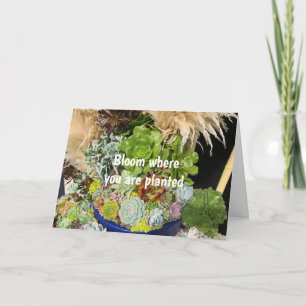Kleurrijke successen met Silver Grass Kaart