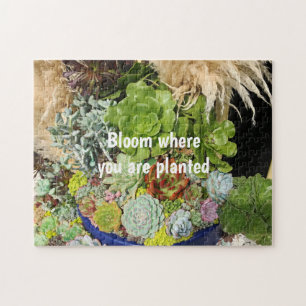 Kleurrijke successen met Silver Grass Legpuzzel