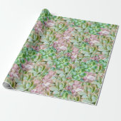Kleurrijke Succulent Cadeaupapier (Uitgerold)