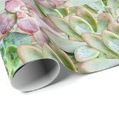 Kleurrijke Succulent Cadeaupapier (Rol Hoek)