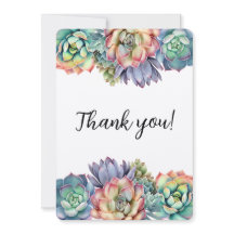 Kleurrijke succulent dank u