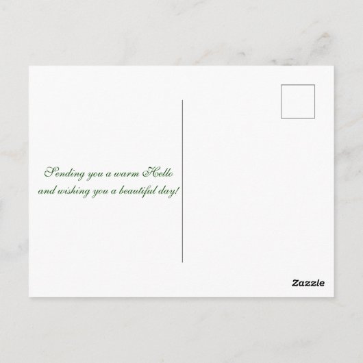 Kleurrijke Succulent Garden Briefkaart (Achterkant)