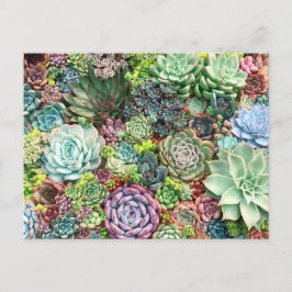 Kleurrijke Succulent Garden Briefkaart