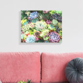 Kleurrijke Succulent Garden Canvas Afdruk (Insitu (Woonkamer))
