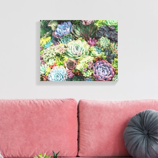 Kleurrijke Succulent Garden Canvas Afdruk (Insitu (Woonkamer))