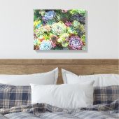 Kleurrijke Succulent Garden Canvas Afdruk (Insitu (Slaapkamer))