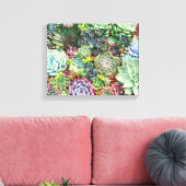 Kleurrijke Succulent Garden Canvas Afdruk (Insitu (Woonkamer))