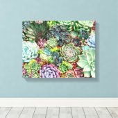 Kleurrijke Succulent Garden Canvas Afdruk (Insitu (Houten vloer))
