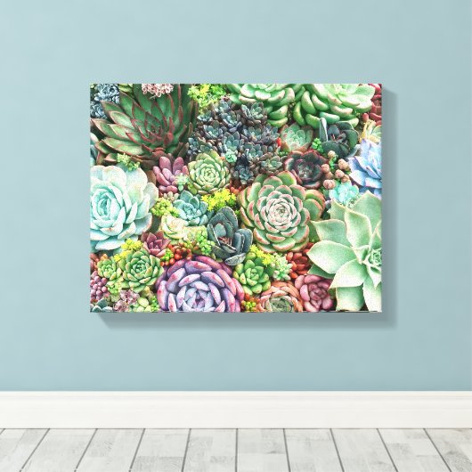 Kleurrijke Succulent Garden Canvas Afdruk (Insitu (Houten vloer))
