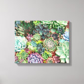 Kleurrijke Succulent Garden Canvas Afdruk (Voorkant)