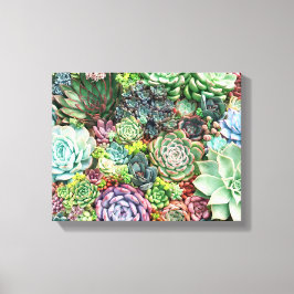 Kleurrijke Succulent Garden Canvas Afdruk