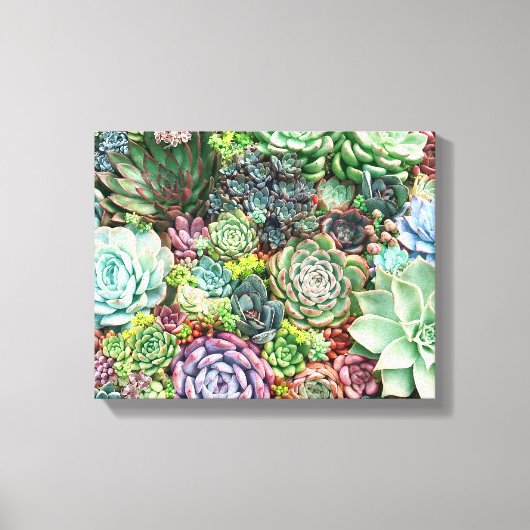 Kleurrijke Succulent Garden Canvas Afdruk (Voorkant)