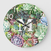 Kleurrijke Succulent Garden