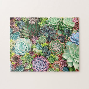 Kleurrijke Succulent Garden Legpuzzel