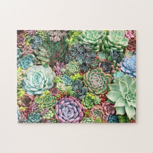 Kleurrijke Succulent Garden Legpuzzel (Horizontaal)