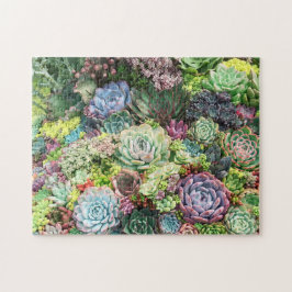 Kleurrijke Succulent Garden Legpuzzel