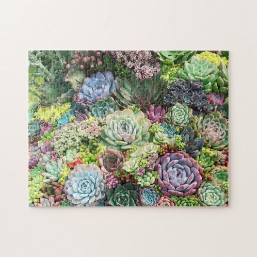 Kleurrijke Succulent Garden Legpuzzel (Horizontaal)