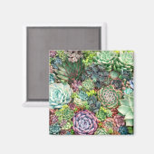 Kleurrijke Succulent Garden Magneet (Voorkant / Achterkant)