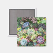 Kleurrijke Succulent Garden Magneet (Voorkant / Achterkant)