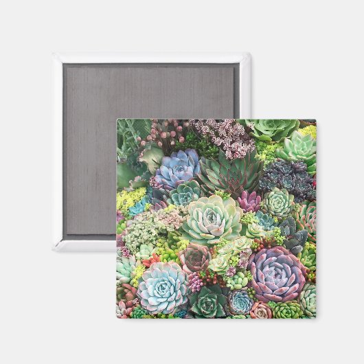 Kleurrijke Succulent Garden Magneet (Voorkant / Achterkant)