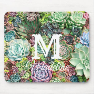 Kleurrijke Succulent Garden Muismat