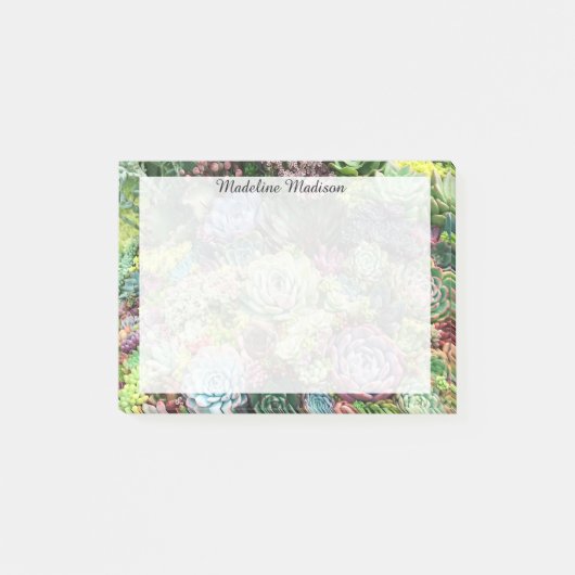 Kleurrijke Succulent Garden Post-it® Notes (Voorkant)