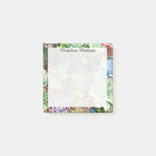 Kleurrijke Succulent Garden Post-it® Notes (Voorkant)