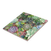 Kleurrijke Succulent Garden Tegeltje (Zijkant)