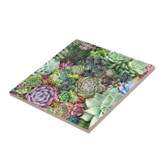 Kleurrijke Succulent Garden Tegeltje (Zijkant)