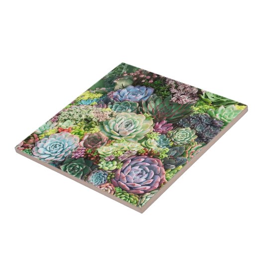 Kleurrijke Succulent Garden Tegeltje (Zijkant)