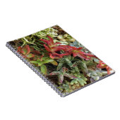 Kleurrijke succulent notitieboek (Rechterzijde)
