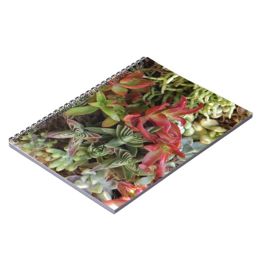 Kleurrijke succulent notitieboek (Linkerzijde)