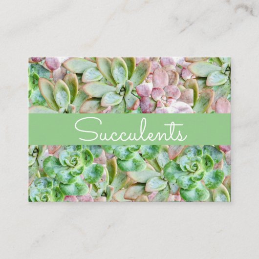 Kleurrijke Succulent Visitekaartje (Voorkant)
