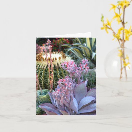 Kleurrijke Succulente Tuin Kaart (Gele Bloem)