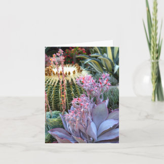 Kleurrijke Succulente Tuin Kaart