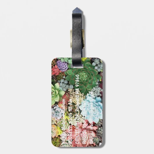kleurrijke Succulenten Bagagelabel (Achterkant verticaal)