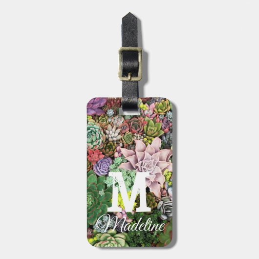 kleurrijke Succulenten Bagagelabel (Voorkant verticaal)