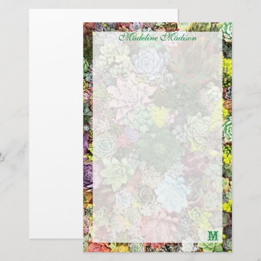 kleurrijke Succulenten Briefpapier (Voorkant / Achterkant)