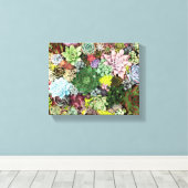 kleurrijke Succulenten Canvas Afdruk (Insitu (Houten vloer))