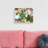 kleurrijke Succulenten Canvas Afdruk (Insitu (Woonkamer))