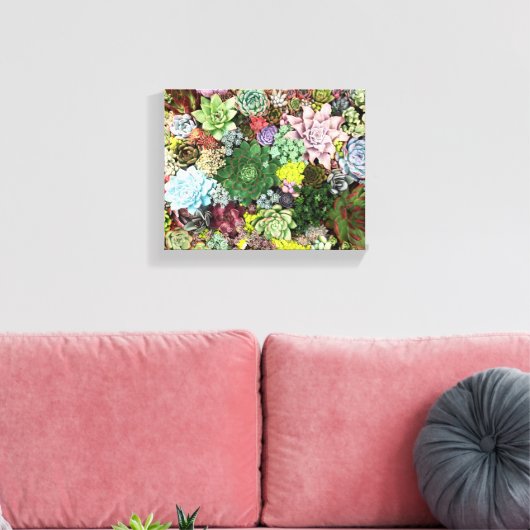 kleurrijke Succulenten Canvas Afdruk (Insitu (Woonkamer))
