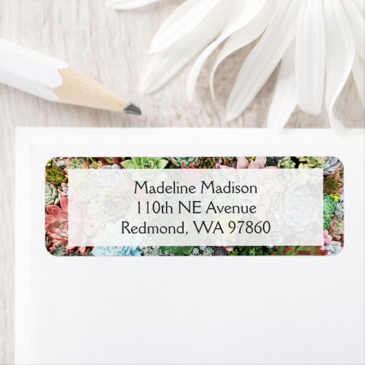 kleurrijke Succulenten Etiket (Insitu)