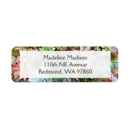 kleurrijke Succulenten Etiket