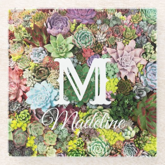 kleurrijke Succulenten Glazen Onderzetter (Voorkant)