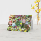 kleurrijke Succulenten Kaart (Gele Bloem)