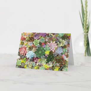 kleurrijke Succulenten Kaart